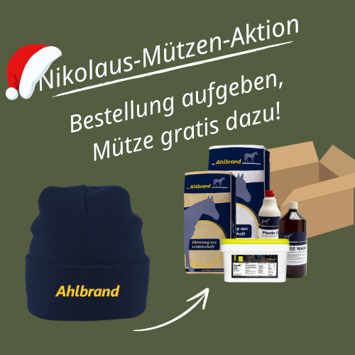 Nikolaus-M-utzen-Aktion